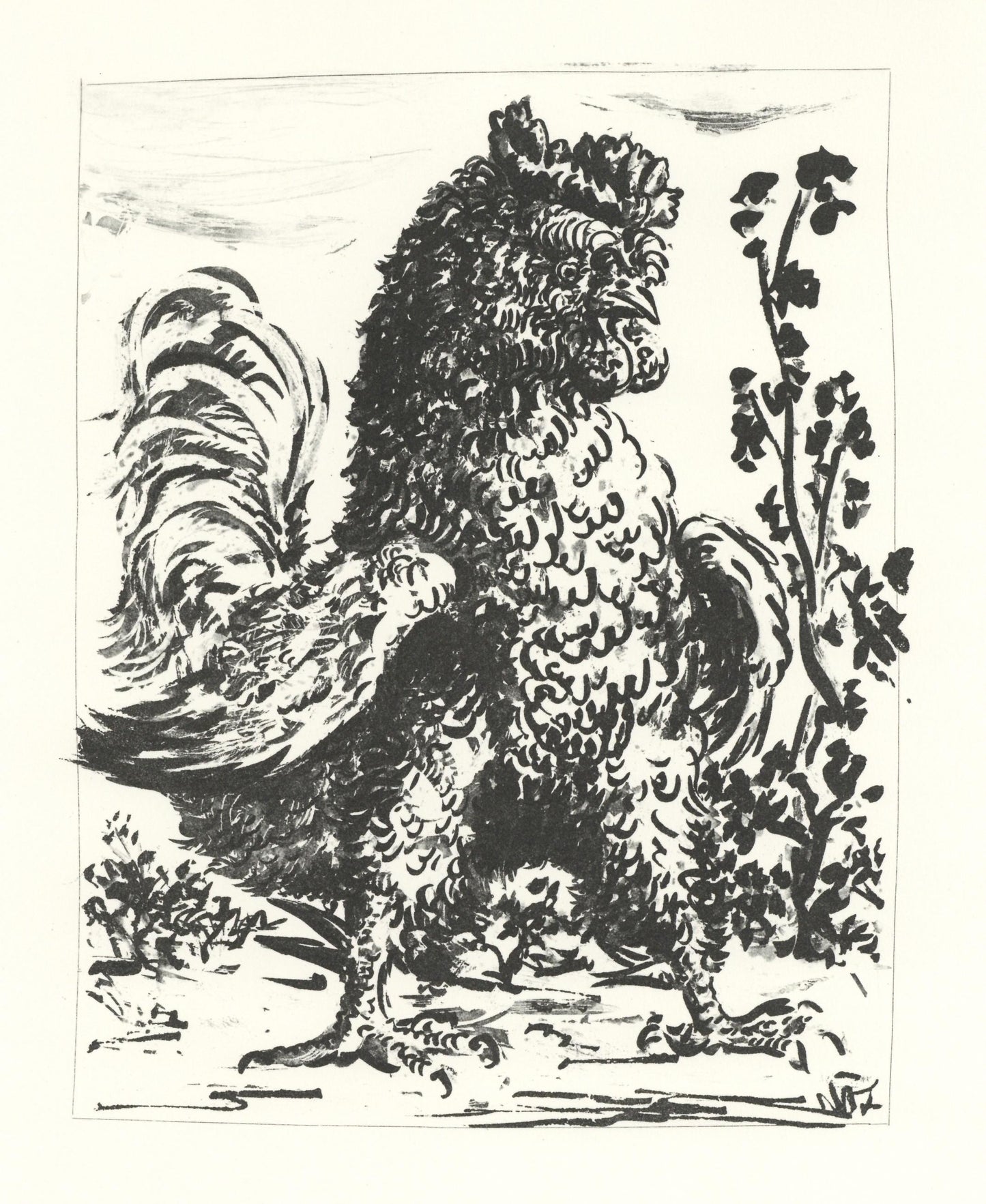 Pablo Picasso, Le Coq (The Rooster) (Orozco P.82), Histoire Naturelle, Lithograph