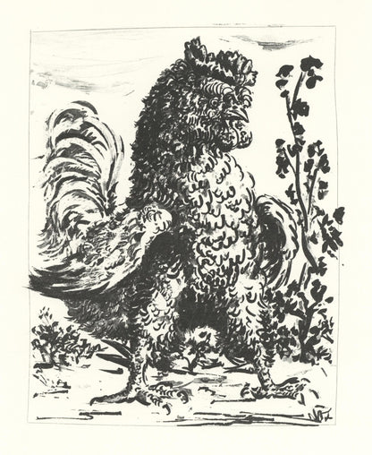 Pablo Picasso, Le Coq (The Rooster) (Orozco P.82), Histoire Naturelle, Lithograph