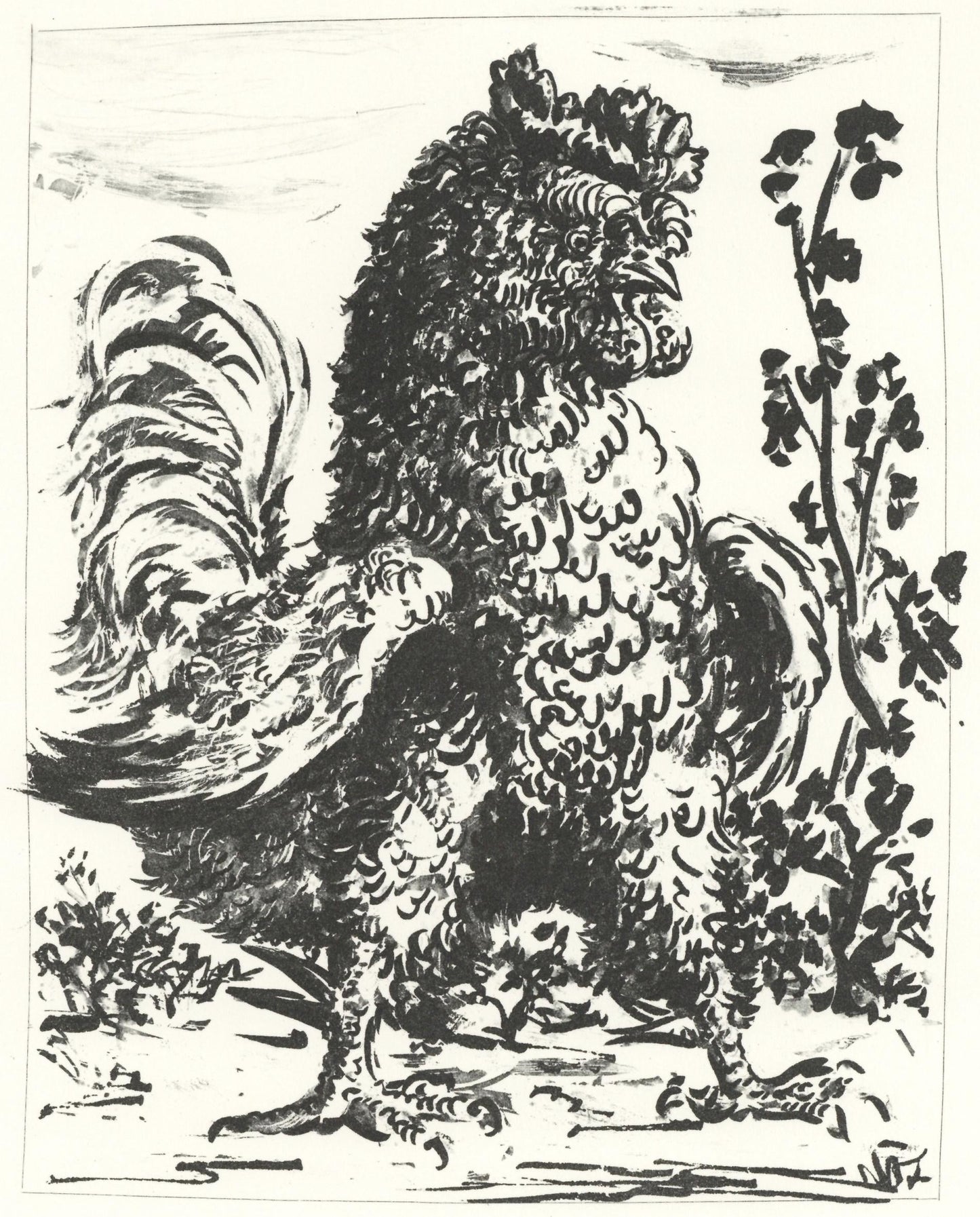 Pablo Picasso, Le Coq (The Rooster) (Orozco P.82), Histoire Naturelle, Lithograph