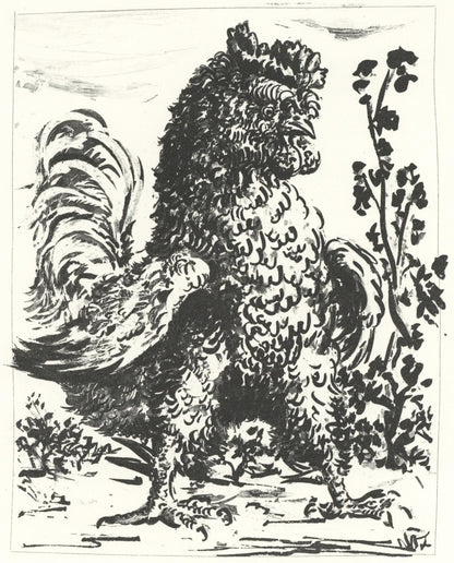 Pablo Picasso, Le Coq (The Rooster) (Orozco P.82), Histoire Naturelle, Lithograph