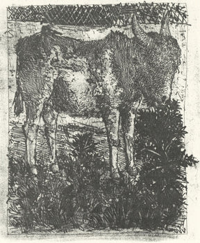 Pablo Picasso, L'Ne (The Donkey) (Orozco P.82), Histoire Naturelle, Lithograph