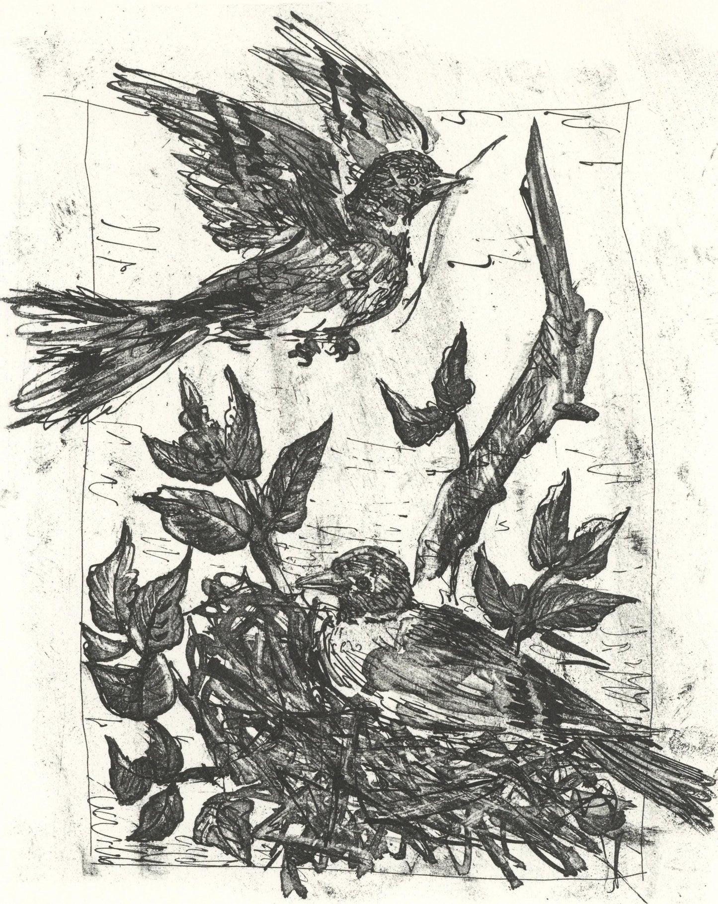 Pablo Picasso, Le Chardonneret (The Goldfinch) (Orozco P.82), Histoire Naturelle, Lithograph