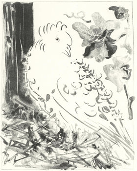 Pablo Picasso, Le Pigeon (The Pigeon) (Orozco P.82), Histoire Naturelle, Lithograph