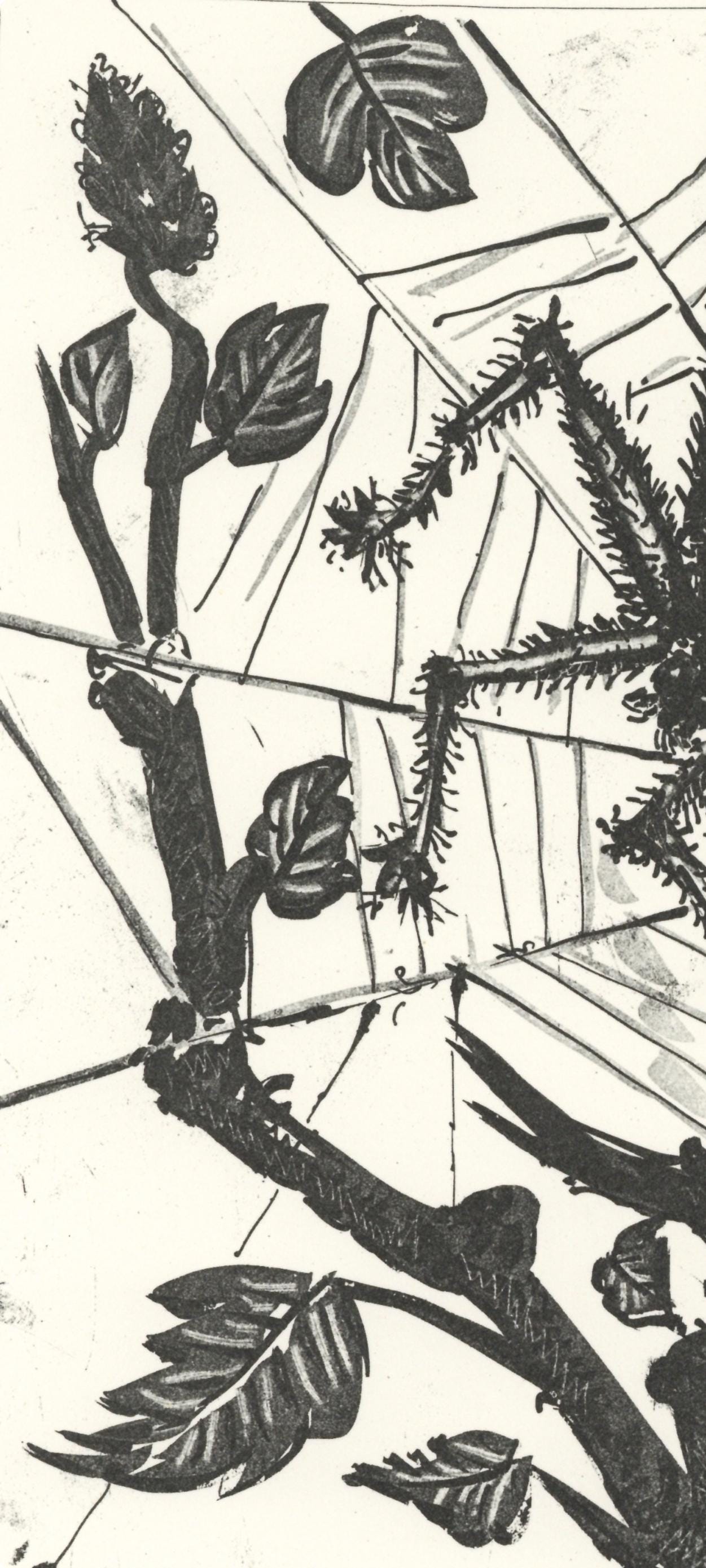 Pablo Picasso, L'Araigne (The Spider) (Orozco P.82), Histoire Naturelle, Lithograph