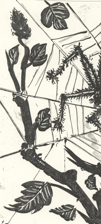 Pablo Picasso, L'Araigne (The Spider) (Orozco P.82), Histoire Naturelle, Lithograph