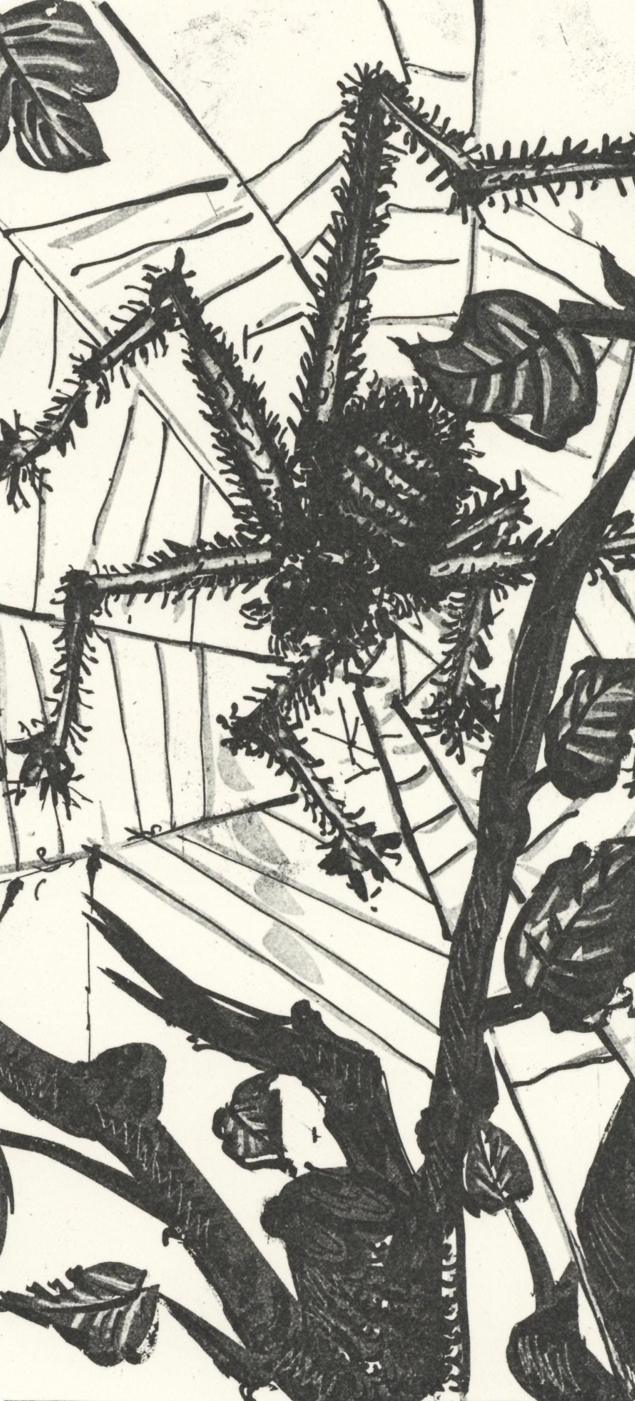 Pablo Picasso, L'Araigne (The Spider) (Orozco P.82), Histoire Naturelle, Lithograph