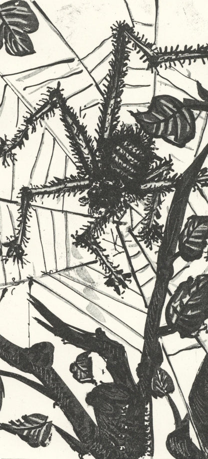 Pablo Picasso, L'Araigne (The Spider) (Orozco P.82), Histoire Naturelle, Lithograph