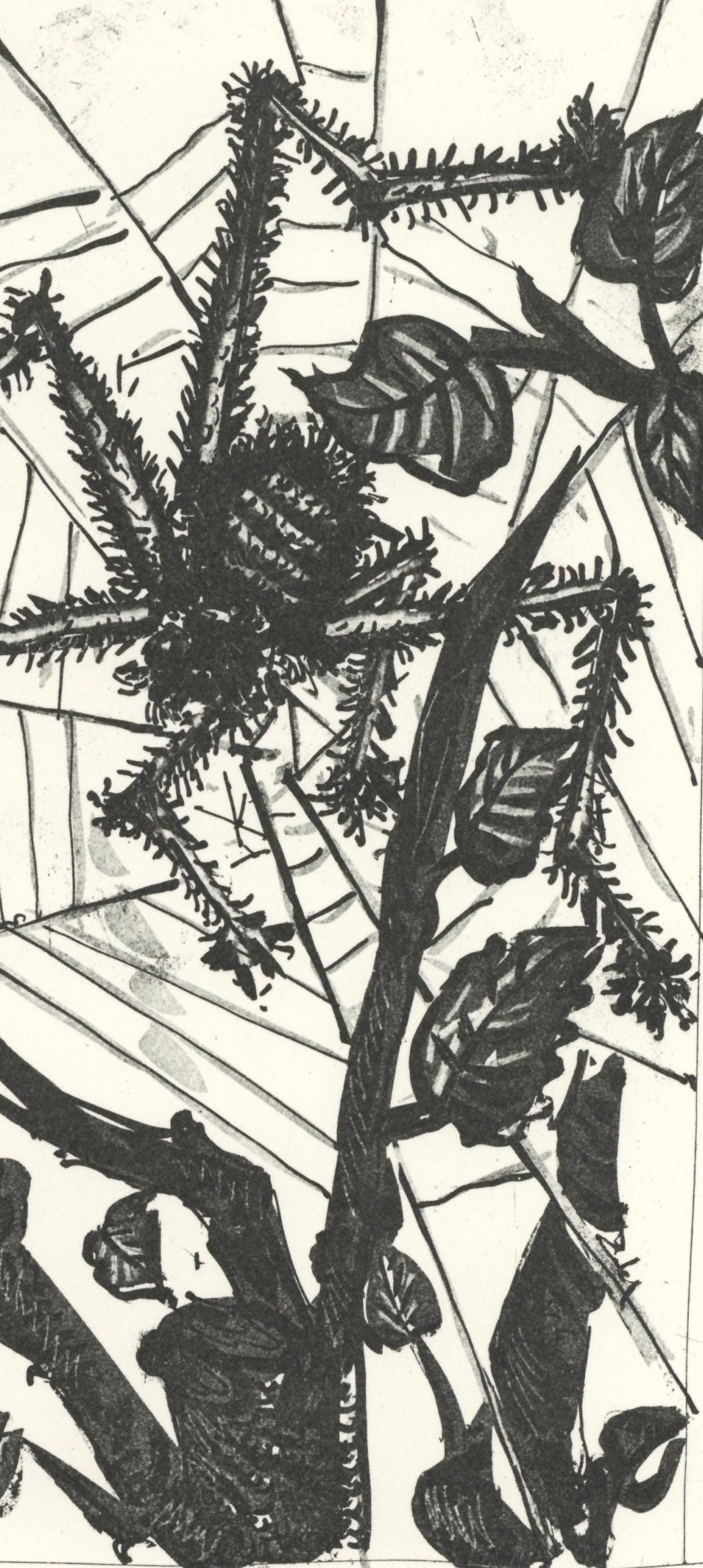 Pablo Picasso, L'Araigne (The Spider) (Orozco P.82), Histoire Naturelle, Lithograph