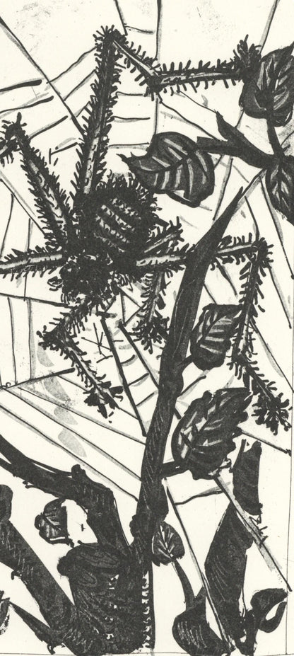 Pablo Picasso, L'Araigne (The Spider) (Orozco P.82), Histoire Naturelle, Lithograph