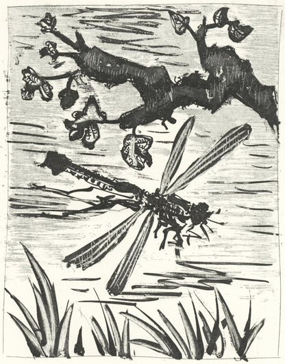 Pablo Picasso, La Libellule (The Dragonfly) (Orozco P.82), Histoire Naturelle, Lithograph