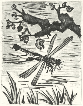 Pablo Picasso, La Libellule (The Dragonfly) (Orozco P.82), Histoire Naturelle, Lithograph
