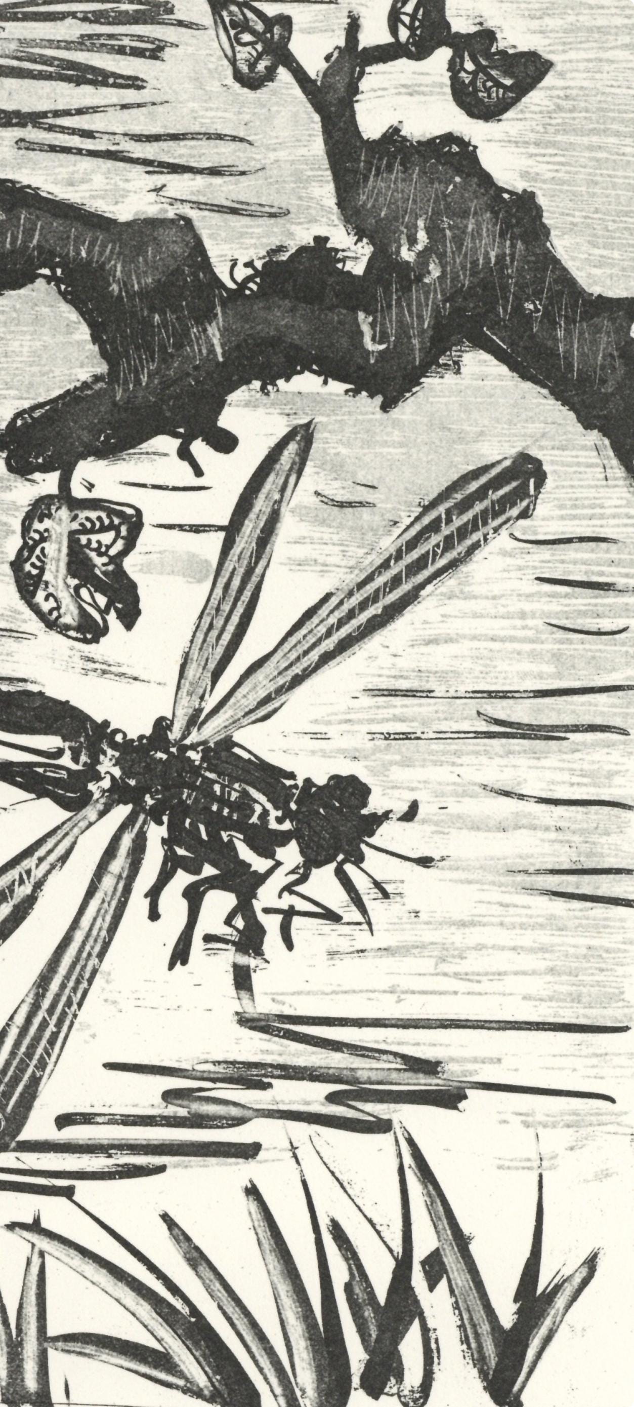 Pablo Picasso, La Libellule (The Dragonfly) (Orozco P.82), Histoire Naturelle, Lithograph
