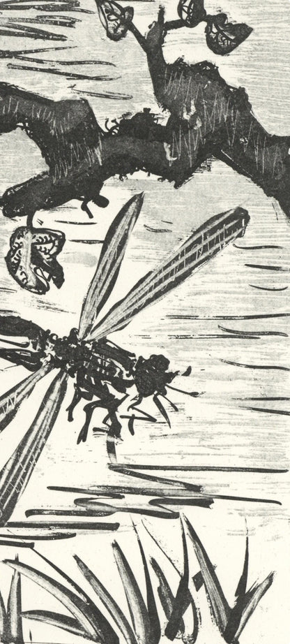 Pablo Picasso, La Libellule (The Dragonfly) (Orozco P.82), Histoire Naturelle, Lithograph