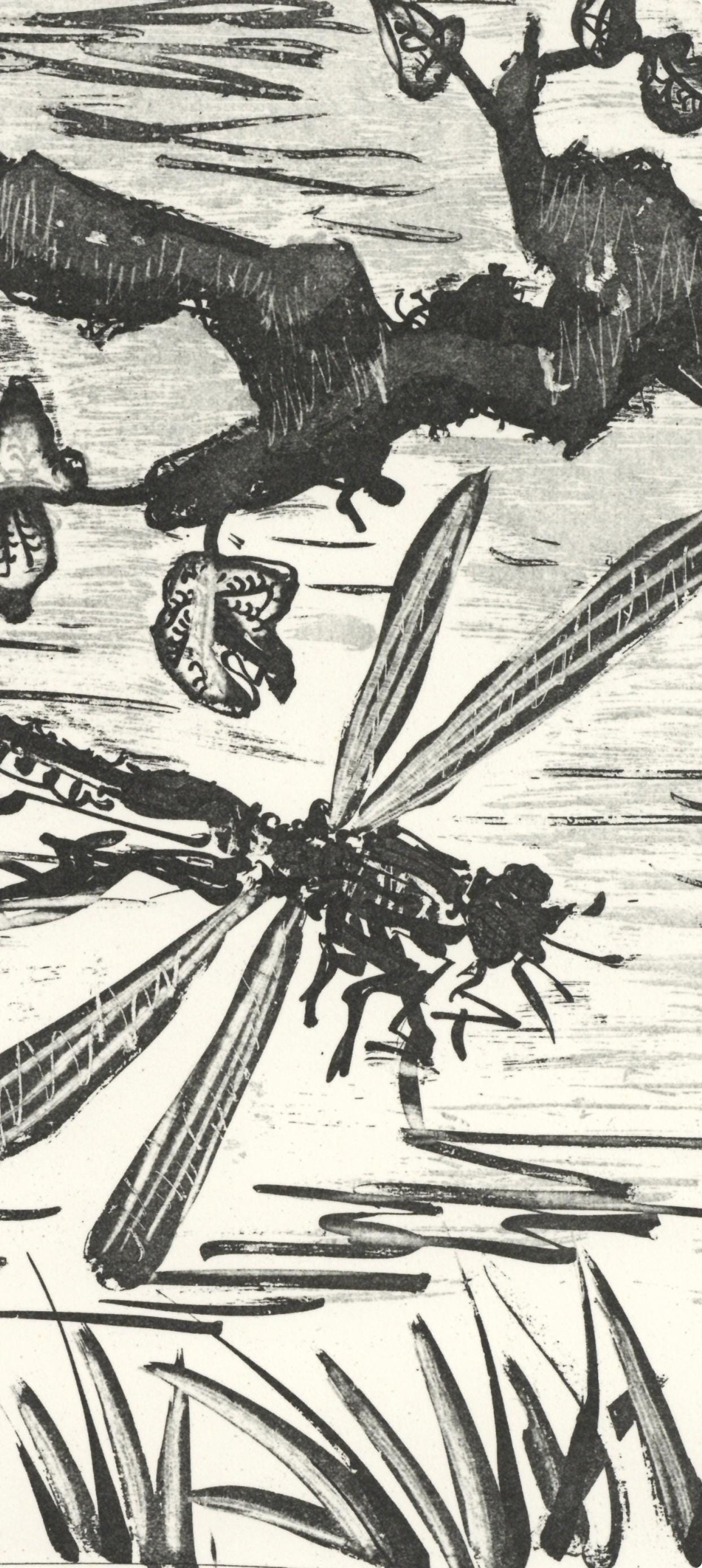 Pablo Picasso, La Libellule (The Dragonfly) (Orozco P.82), Histoire Naturelle, Lithograph