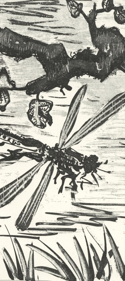 Pablo Picasso, La Libellule (The Dragonfly) (Orozco P.82), Histoire Naturelle, Lithograph
