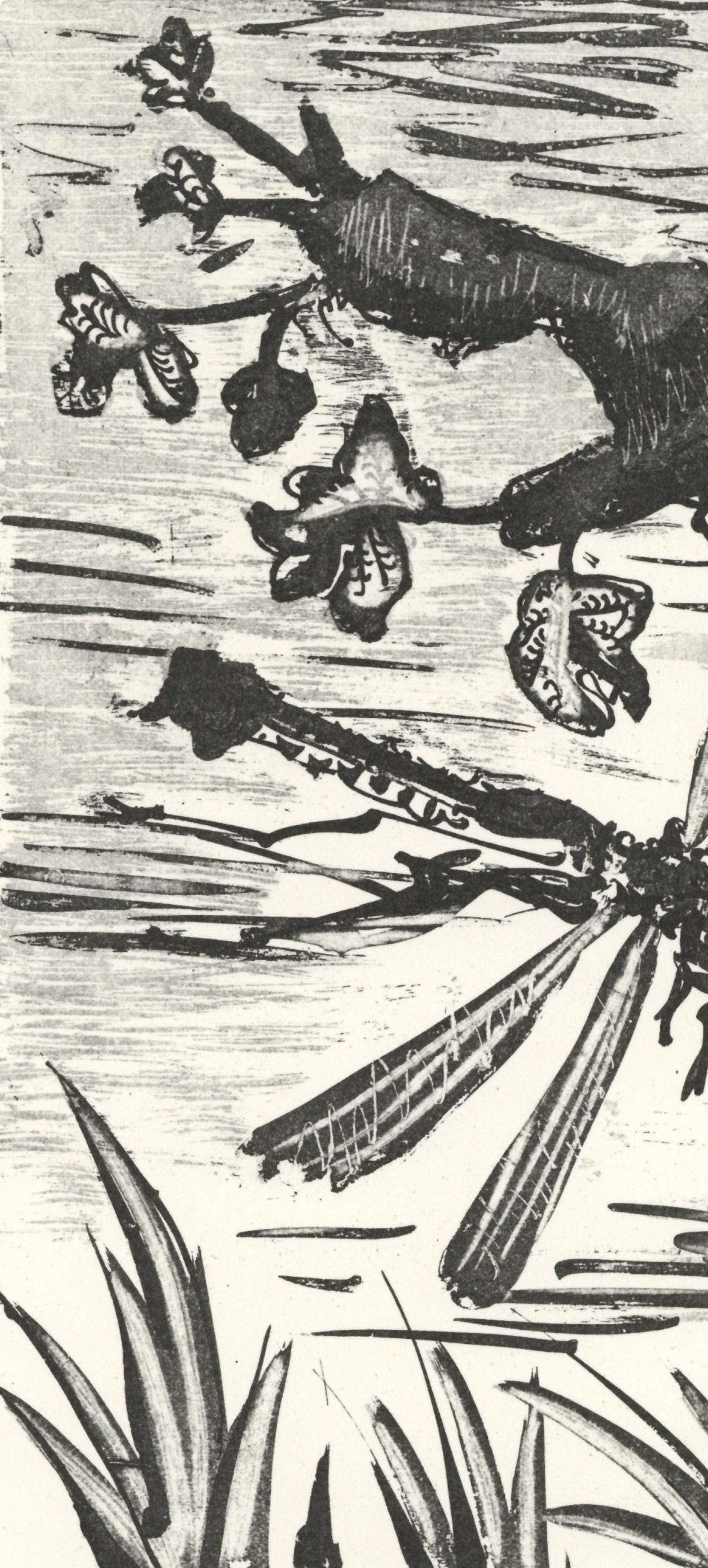 Pablo Picasso, La Libellule (The Dragonfly) (Orozco P.82), Histoire Naturelle, Lithograph