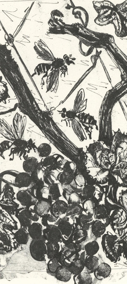 Pablo Picasso, La Gupe (The Wasp) (Orozco P.82), Histoire Naturelle, Lithograph