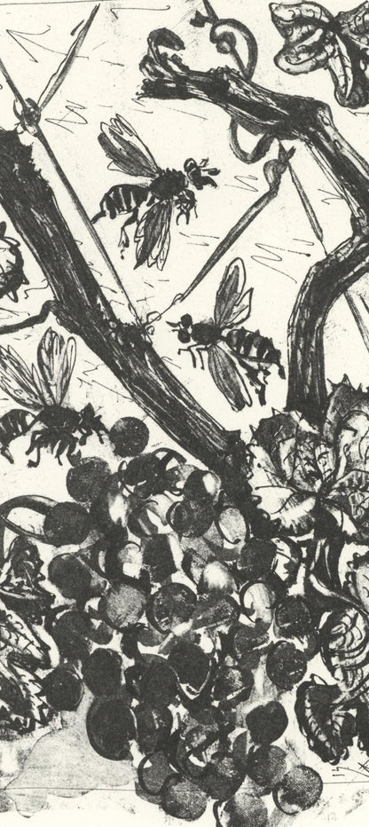 Pablo Picasso, La Gupe (The Wasp) (Orozco P.82), Histoire Naturelle, Lithograph