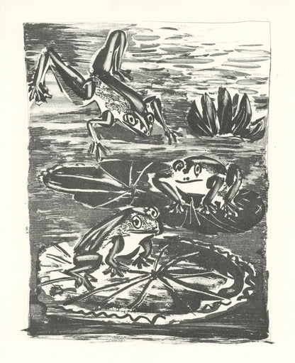 Pablo Picasso, La Grenouille (The Frog) (Orozco P.82), Histoire Naturelle, Lithograph