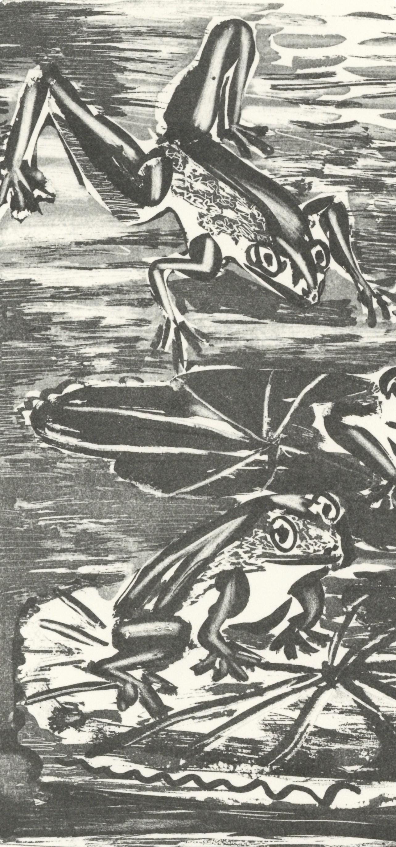 Pablo Picasso, La Grenouille (The Frog) (Orozco P.82), Histoire Naturelle, Lithograph