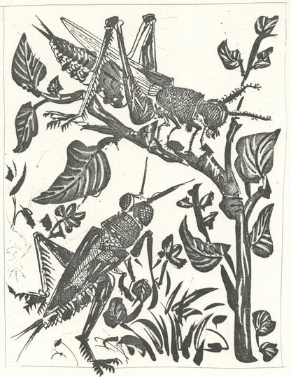 Pablo Picasso, La Sauterelle (The Grasshopper) (Orozco P.82), Histoire Naturelle, Lithograph