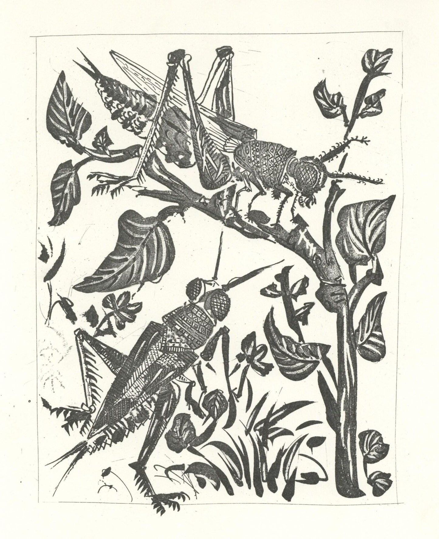 Pablo Picasso, La Sauterelle (The Grasshopper) (Orozco P.82), Histoire Naturelle, Lithograph