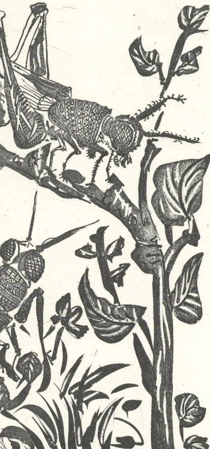 Pablo Picasso, La Sauterelle (The Grasshopper) (Orozco P.82), Histoire Naturelle, Lithograph