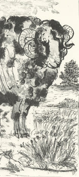 Pablo Picasso, Le Blier, (The Ram) (Orozco P.82), Histoire Naturelle, Lithograph