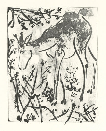 Pablo Picasso, Le Cerf (The Deer) (Orozco P.82), Histoire Naturelle, Lithograph