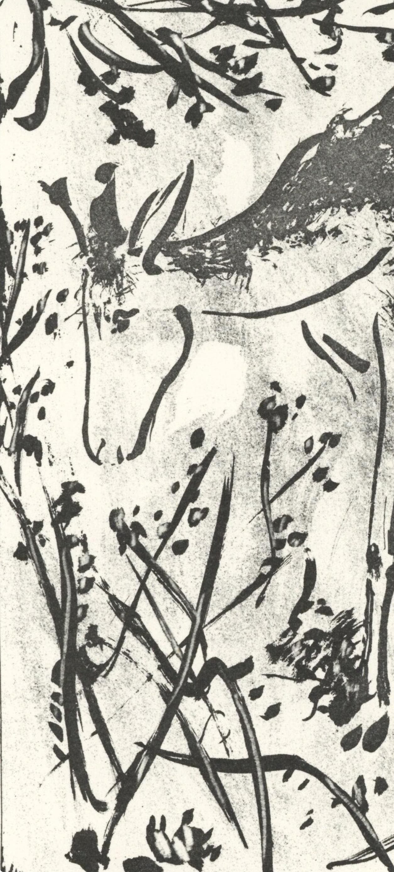 Pablo Picasso, Le Cerf (The Deer) (Orozco P.82), Histoire Naturelle, Lithograph