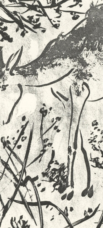Pablo Picasso, Le Cerf (The Deer) (Orozco P.82), Histoire Naturelle, Lithograph