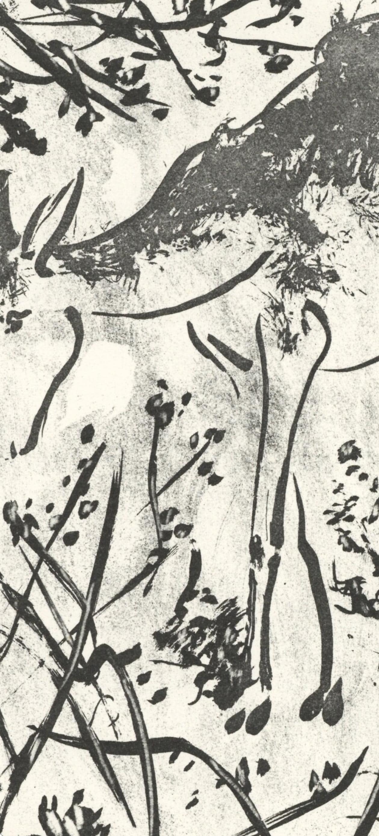 Pablo Picasso, Le Cerf (The Deer) (Orozco P.82), Histoire Naturelle, Lithograph