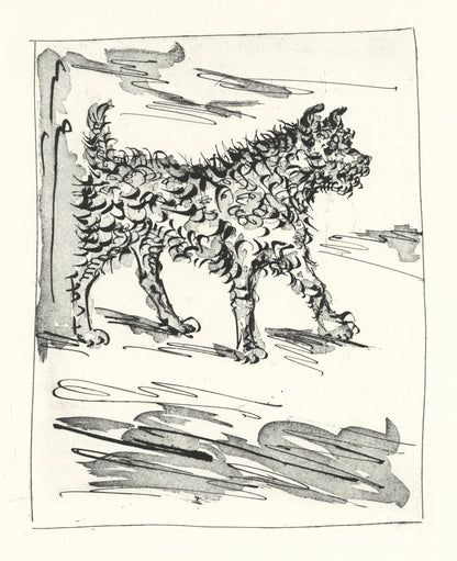 Pablo Picasso, Le Chien (The Dog) (Orozco P.82), Histoire Naturelle, Lithograph