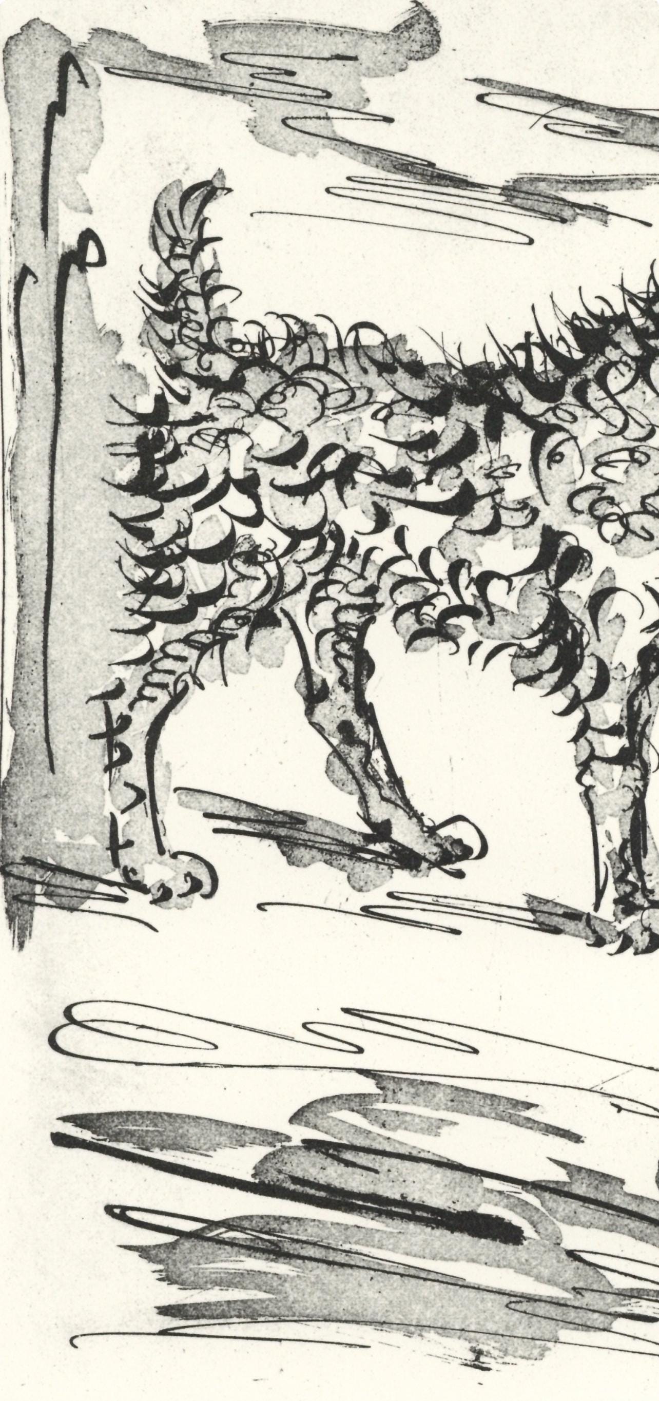 Pablo Picasso, Le Chien (The Dog) (Orozco P.82), Histoire Naturelle, Lithograph