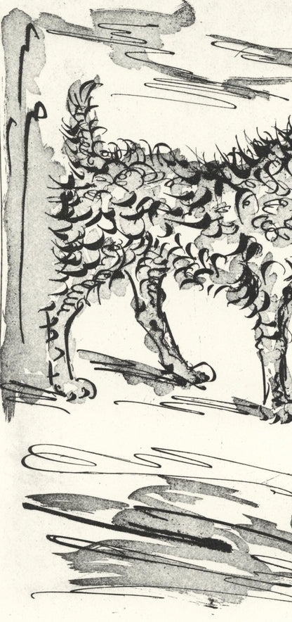 Pablo Picasso, Le Chien (The Dog) (Orozco P.82), Histoire Naturelle, Lithograph