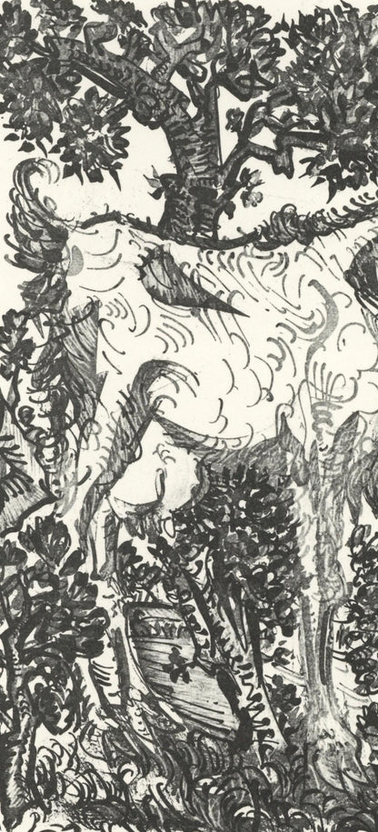 Pablo Picasso, La Chvre (The Goat) (Orozco P.82), Histoire Naturelle, Lithograph