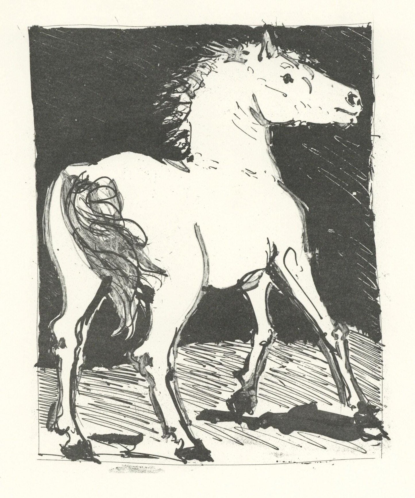 Pablo Picasso, Le Cheval (The Horse) (Orozco P.82), Histoire Naturelle, Lithograph