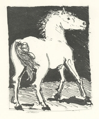 Pablo Picasso, Le Cheval (The Horse) (Orozco P.82), Histoire Naturelle, Lithograph