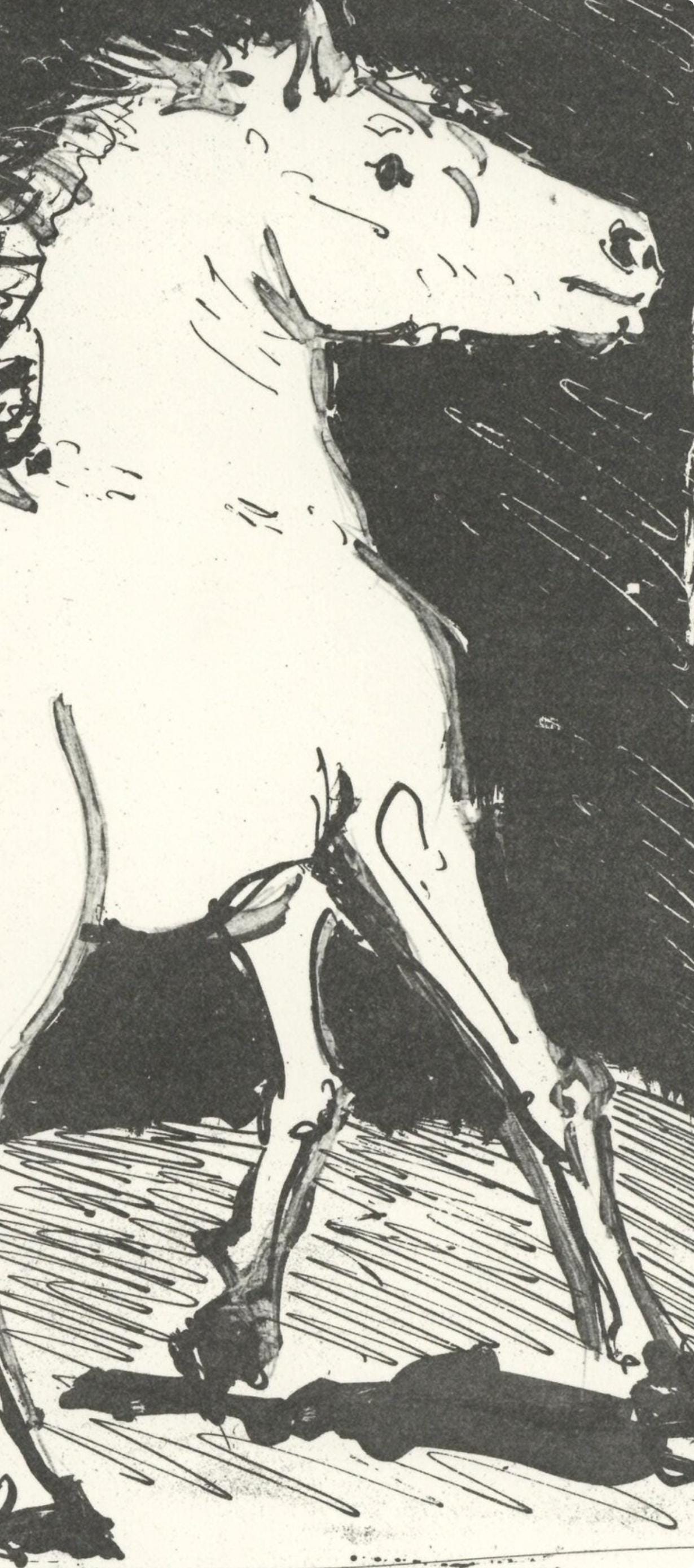 Pablo Picasso, Le Cheval (The Horse) (Orozco P.82), Histoire Naturelle, Lithograph