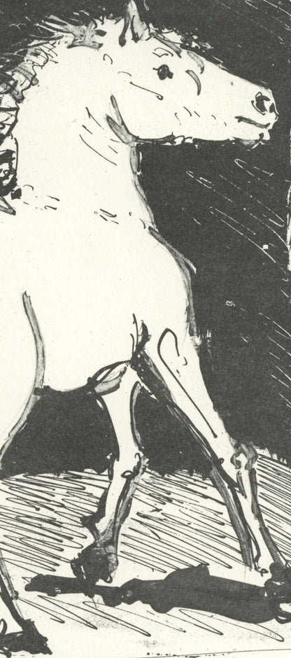 Pablo Picasso, Le Cheval (The Horse) (Orozco P.82), Histoire Naturelle, Lithograph
