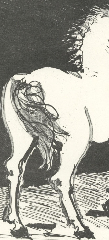 Pablo Picasso, Le Cheval (The Horse) (Orozco P.82), Histoire Naturelle, Lithograph