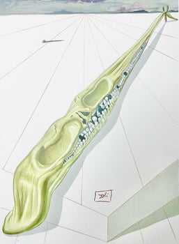 Salvador Dali, Hlle Xiv (Michler/Lpsinger 1039-1138; Field 189-200), Die Gttliche Komdie, Signed,