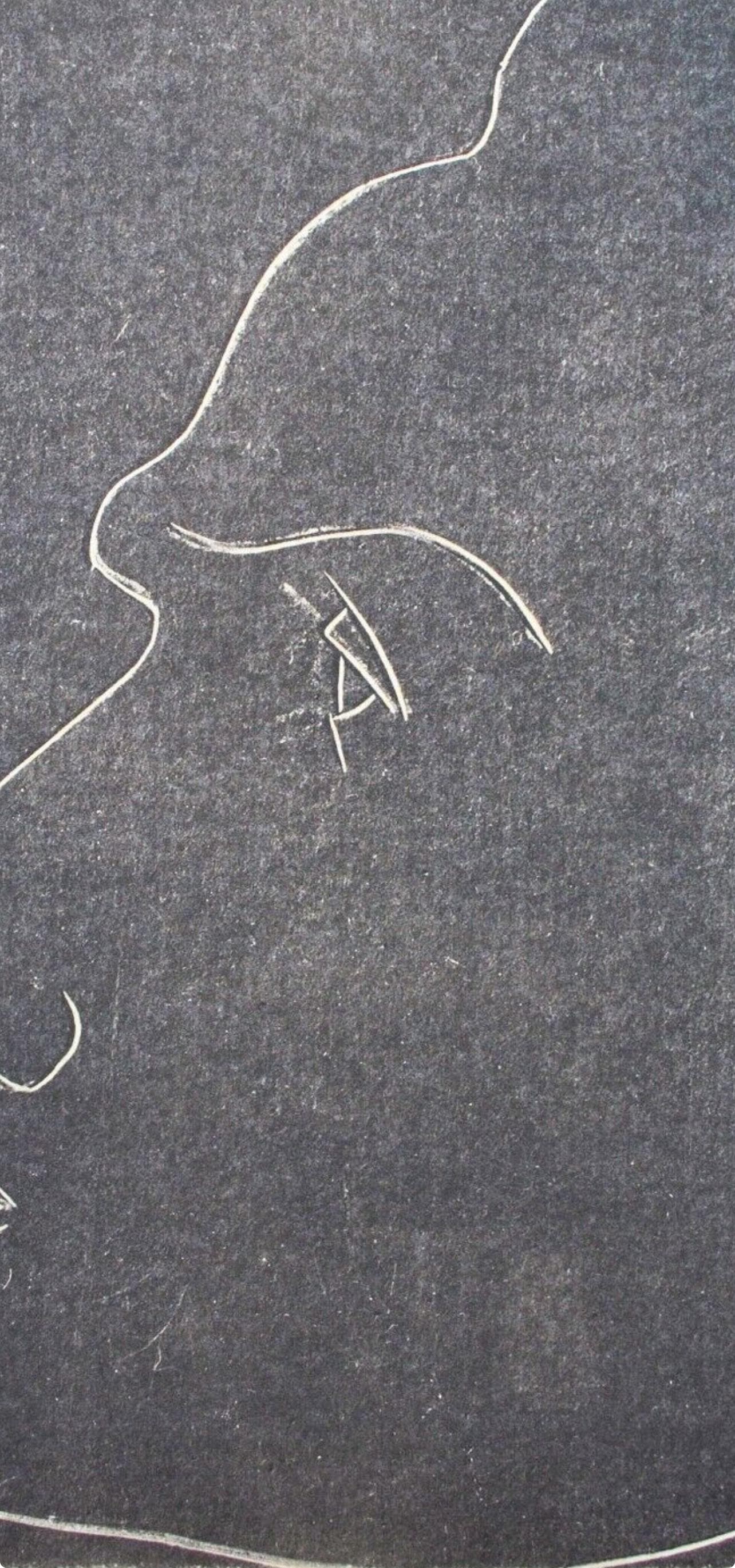 Henri Matisse, Henry De Montherlant, Portraits Par Henri Matisse, Hliogravure