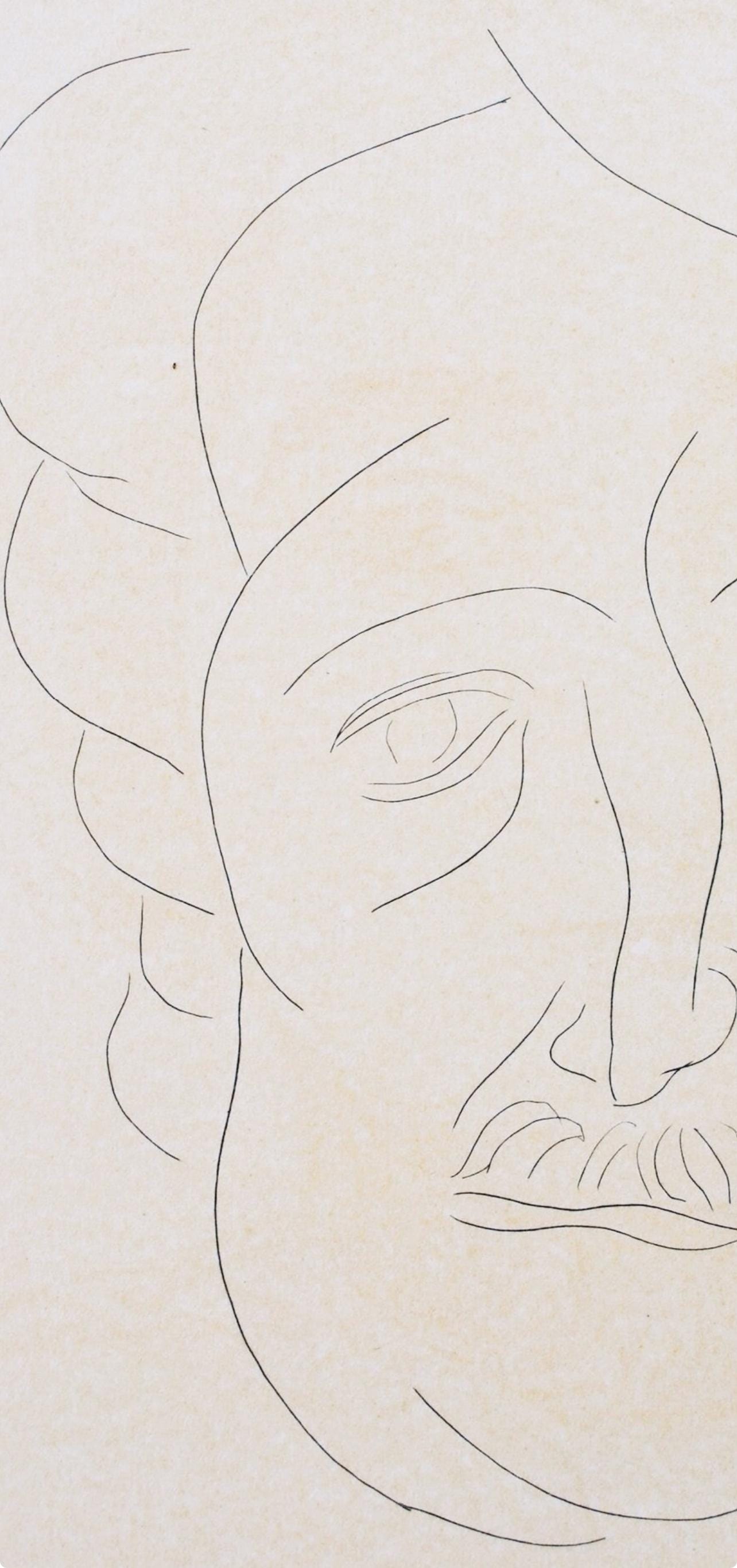 Henri Matisse, Edgar Allan Poe, Portraits Par Henri Matisse, Hliogravure