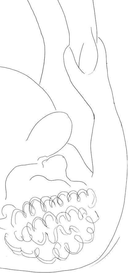 Henri Matisse, Le Pitre Chti, Posies De Stphane Mallarm, Lithograph