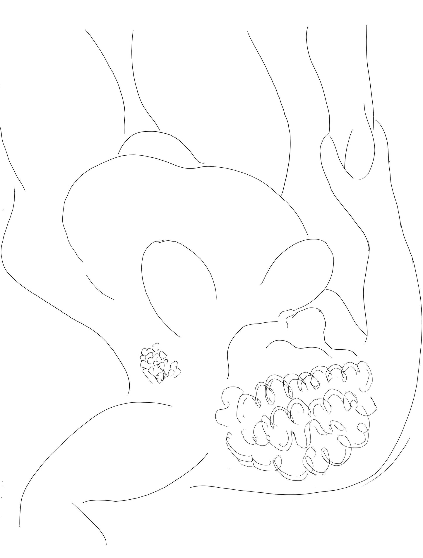 Henri Matisse, Le Pitre Chti, Posies De Stphane Mallarm, Lithograph