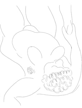 Henri Matisse, Le Pitre Chti, Posies De Stphane Mallarm, Lithograph