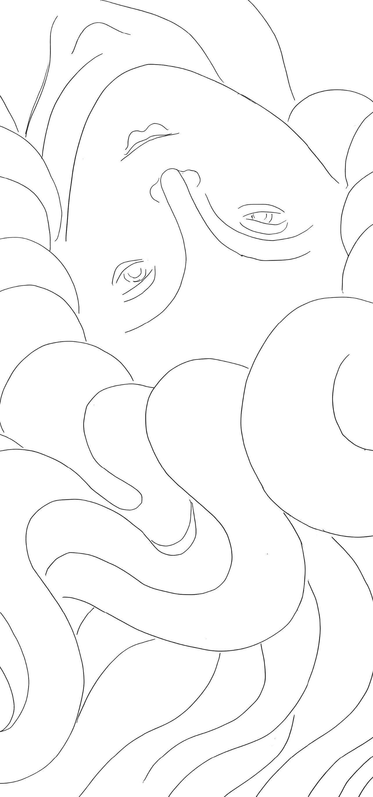 Henri Matisse, Le Phnix, Posies De Stphane Mallarm, Lithograph