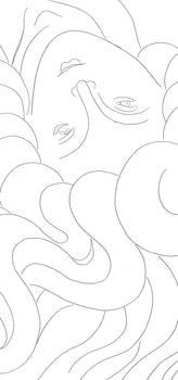 Henri Matisse, Le Phnix, Posies De Stphane Mallarm, Lithograph