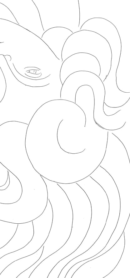 Henri Matisse, Le Phnix, Posies De Stphane Mallarm, Lithograph